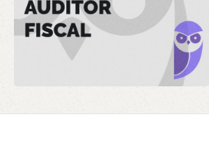 SEFAZ PR Auditor Fiscal 2024 - Rateio Estrategia